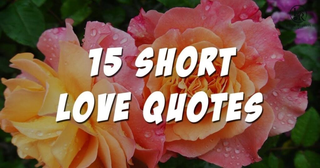 Best Short Love Quotes for Him