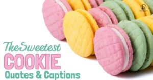 Cute Cookie Quotes