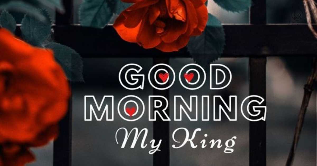 Good Morning My King Messages