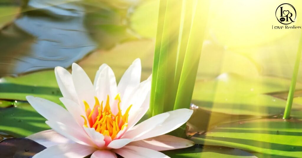 Religious or Spiritual Condolence Messages